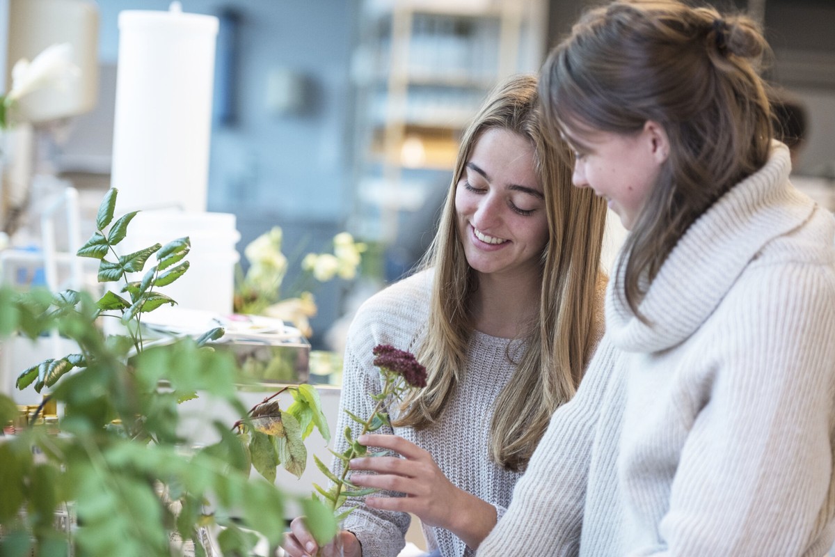 Two people examining a small green plant together in a bright indoor setting.